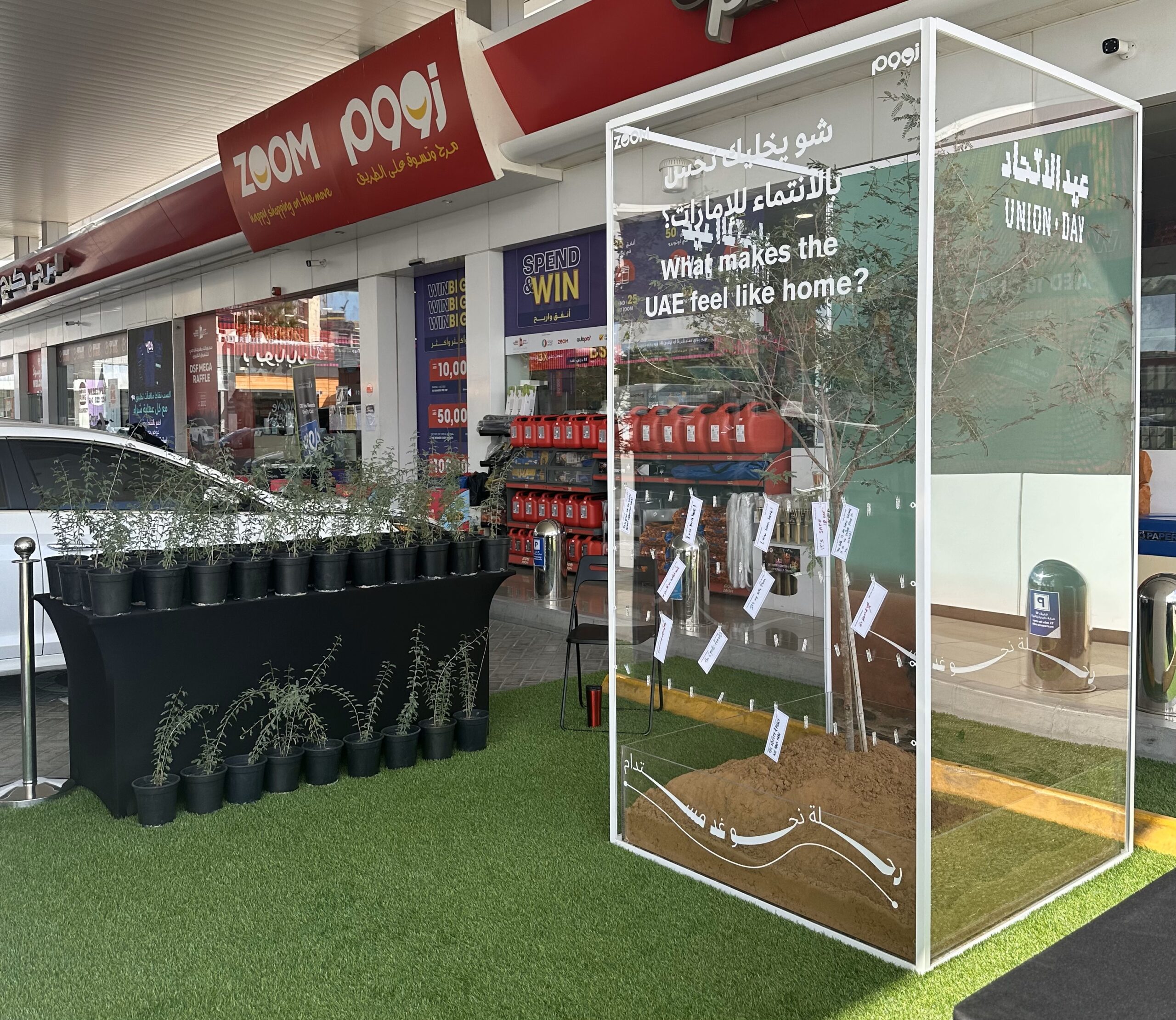 ENOC National Day Activation with Ghaf Tree Display. A creative outdoor setup at a Zoom convenience store in Dubai featuring a Ghaf tree inside a transparent display box with the question 'What makes the UAE feel like home?' written in English and Arabic. The display includes potted Ghaf saplings, reflecting the UAE's cultural heritage and environmental sustainability efforts during the Union Day celebration.